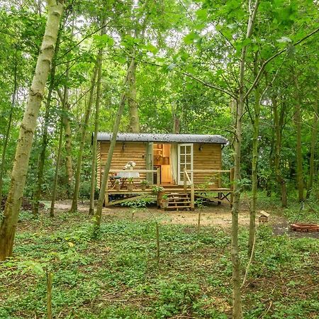 Villa Woodland Retreat Shepherds Hut à Brundish Extérieur photo