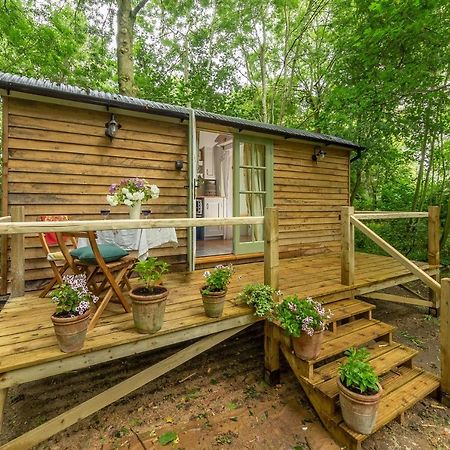 Villa Woodland Retreat Shepherds Hut à Brundish Extérieur photo