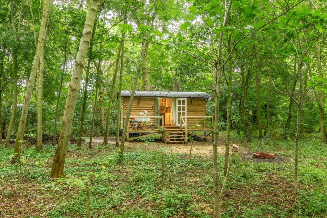 Villa Woodland Retreat Shepherds Hut à Brundish Extérieur photo